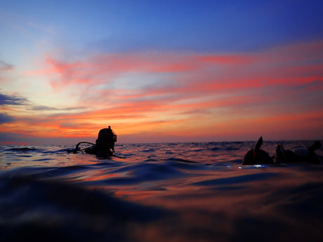 scuba divers in water at night