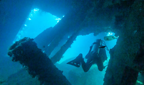 wreck diving