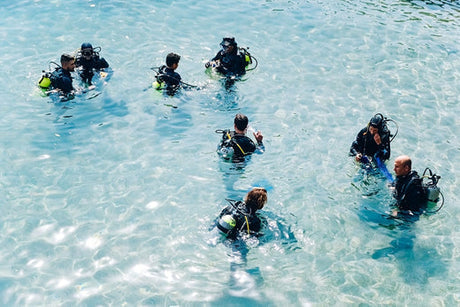 aerial view of group of divers getting ready