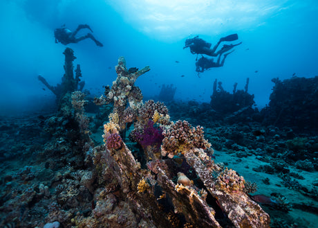 divers diving over a wreck