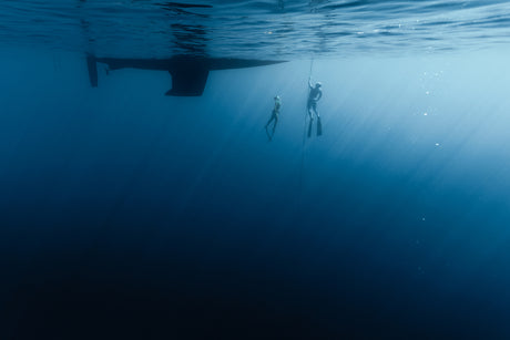 two people freediving