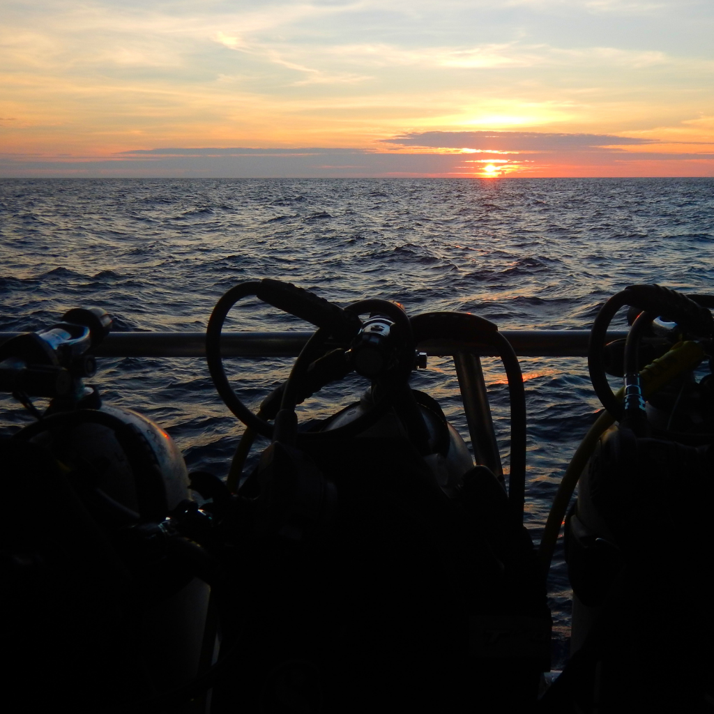 Night diving - amazing or scary?