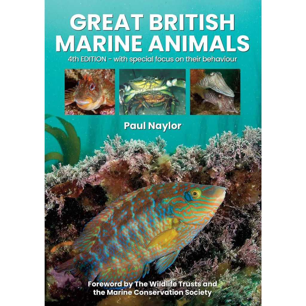 Great British Marine Animals Book