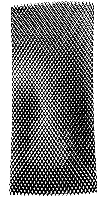 Beaver Cylinder Mesh