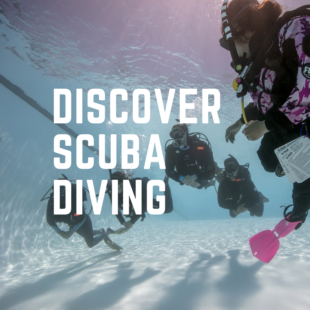 Scuba Diver to Open Water Upgrade